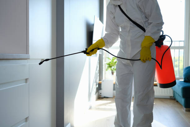 Mold Remediation for Vacation Homes in Denver, PA